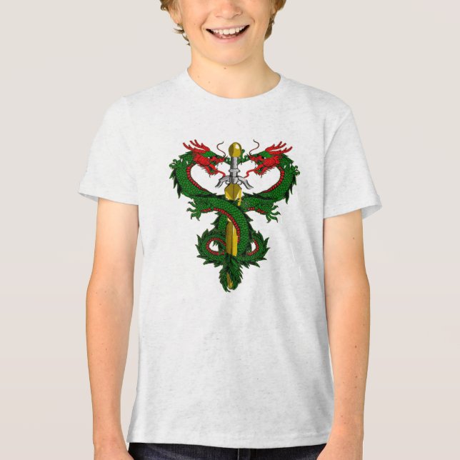 Waldwächter-Drachenschwert Tri-Blend Shirt (Vorderseite)