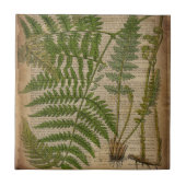 Waldwaldblätter, französischer botanischer Printfa Fliese (Vorderseite)