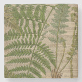 Waldwaldblätter, französischer botanischer Printfa Steinuntersetzer (Vorderseite)