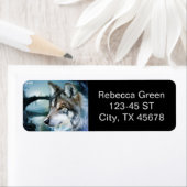 Waldwaldmoonlight Vollmondwolf (Insitu)