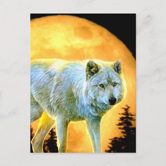 Waldwaldmoonlight Vollmondwolf Postkarte (Vorderseite)