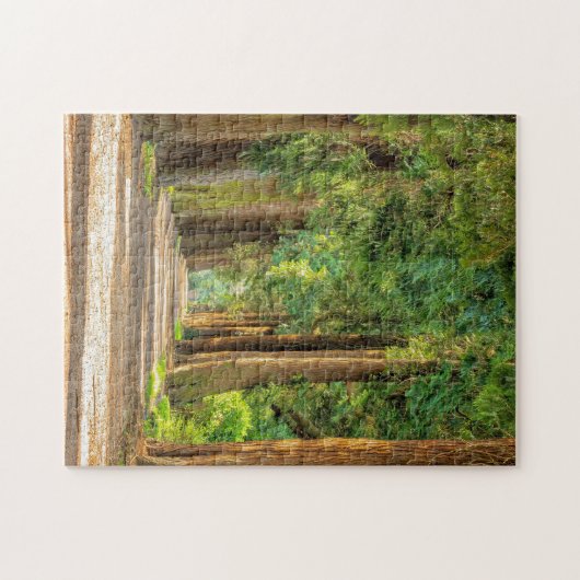 WALDWALDTRAINQUIL TRAIL JIGSAW PUZZLE (Horizontal)