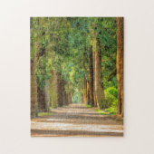 WALDWALDTRAINQUIL TRAIL JIGSAW PUZZLE (Vertikal)