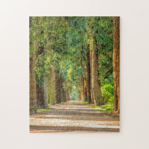 WALDWALDTRAINQUIL TRAIL JIGSAW PUZZLE