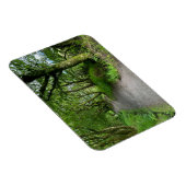 Waldwanderweg auf der Insel Bute Schottland Magnet (Rechte Seite)