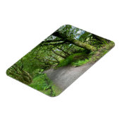 Waldwanderweg auf der Insel Bute Schottland Magnet (Linke Seite)