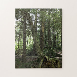 Waldwanderweg Fotografie Puzzle