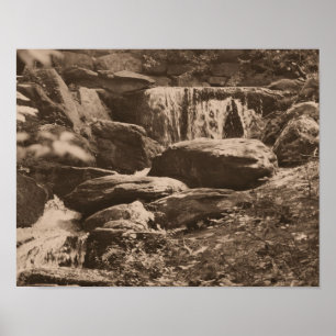 Waldwasserfall in Sepia-Braun Natur Poster