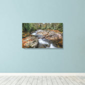 Waldwasserfall Leinwanddruck (Insitu (Holzboden))