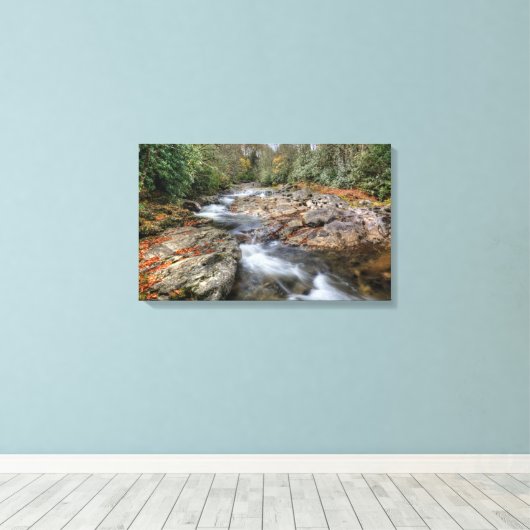 Waldwasserfall Leinwanddruck (Insitu (Holzboden))