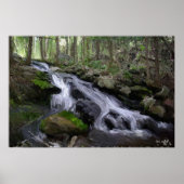 Waldwasserfall Poster (Vorne)