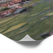 Waldwasserfall Poster (Ecke)