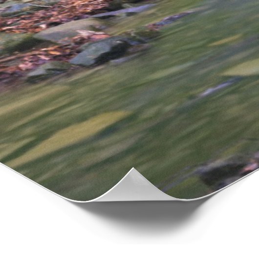 Waldwasserfall Poster (Ecke)