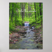 Waldwasserfall Poster (Vorne)