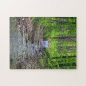 Waldwasserfall Puzzle (Horizontal)