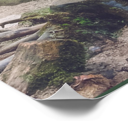 Waldwasserfallposter Poster (Ecke)