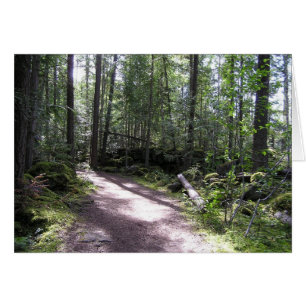 Waldweg