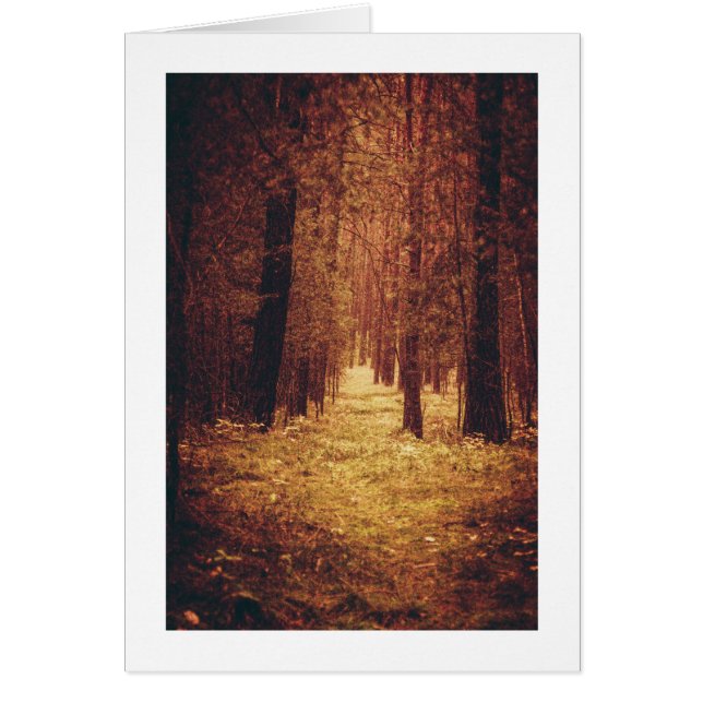 Waldweg... (Vorne)