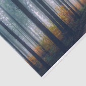 Waldweg 21 Dekoupage Tissue Paper Seidenpapier (Ausschnitt)