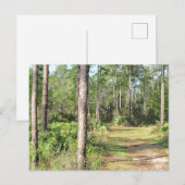 Waldweg 2656 postkarte (Vorne/Hinten)