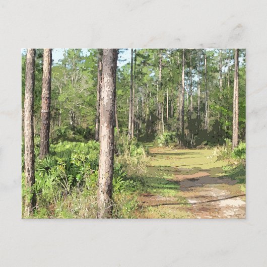 Waldweg 2656 postkarte (Vorderseite)