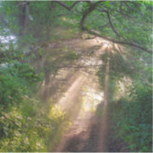 Waldweg Aufkleber (Vorderseite)