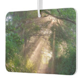 Waldweg Autolufterfrischer (Links)