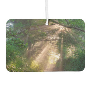 Waldweg Autolufterfrischer