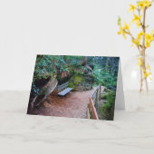 Waldweg-Bank-leere Karte (Gelbe Blume)