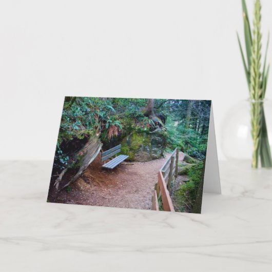 Waldweg-Bank-leere Karte (Vorderseite)