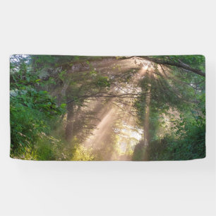 Waldweg Banner