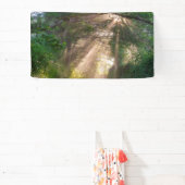 Waldweg Banner (InSitu)