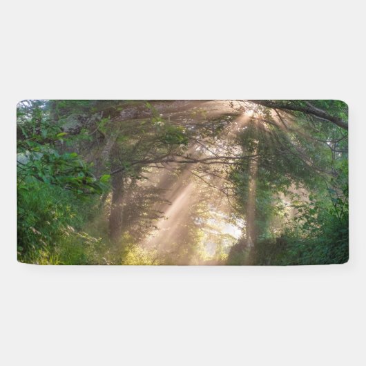 Waldweg Banner (Horizontal)