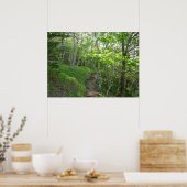 Waldweg bei Acadia Poster (Küche)
