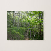 Waldweg bei Acadia Puzzle (Horizontal)