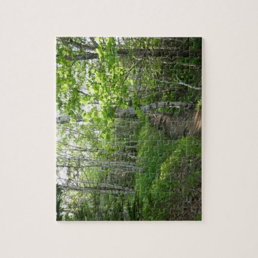 Waldweg bei Acadia Puzzle (Vertikal)