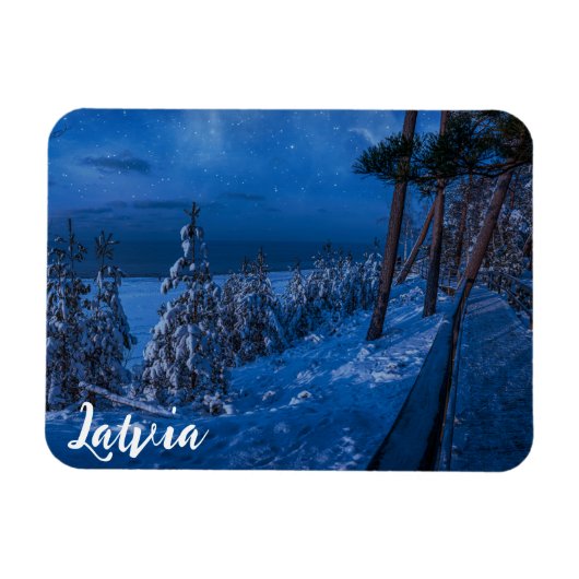 Waldweg bei Winternachtmagnet Magnet (Horizontal)