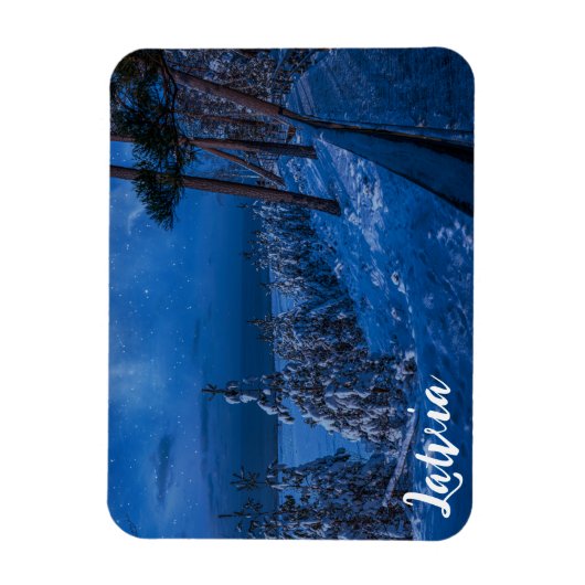 Waldweg bei Winternachtmagnet Magnet (Vertikal)