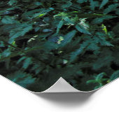 Waldweg. Blackweir Woods, Cardiff, Wales. Poster (Ecke)