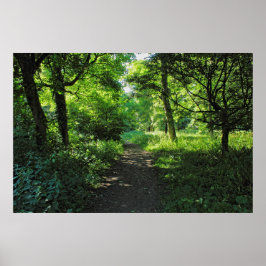 Waldweg. Blackweir Woods, Cardiff, Wales. Poster