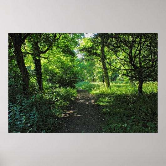 Waldweg. Blackweir Woods, Cardiff, Wales. Poster (Vorne)