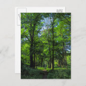 Waldweg. Blackweir Woods, Cardiff, Wales. Postkarte (Vorne/Hinten)