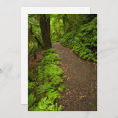 Waldweg Dankeskarte (Vorne/Hinten)