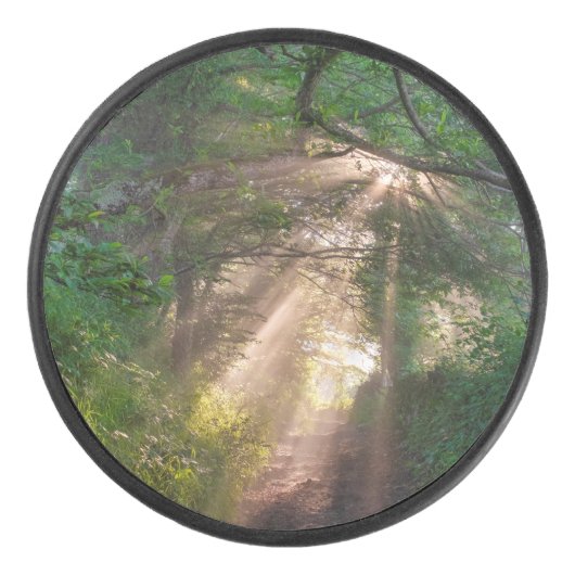 Waldweg Eishockey Puck (Vorderseite)