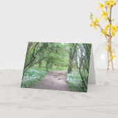 Waldweg-Foto-Gruß-Karte Karte (Gelbe Blume)
