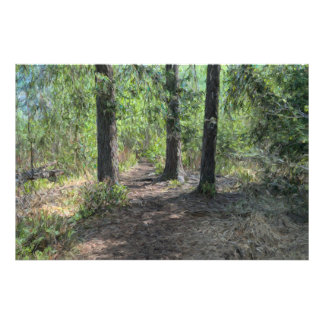 Waldweg Fotodruck