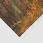 Waldweg Herbst 13 Dekoupage Tissue Paper Seidenpapier (Ausschnitt)