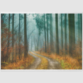 Waldweg Herbst 13 Dekoupage Tissue Paper Seidenpapier