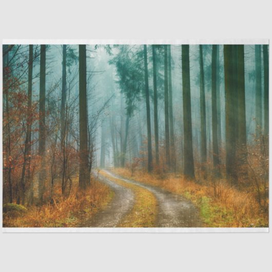 Waldweg Herbst 13 Dekoupage Tissue Paper Seidenpapier (Vorderseite)