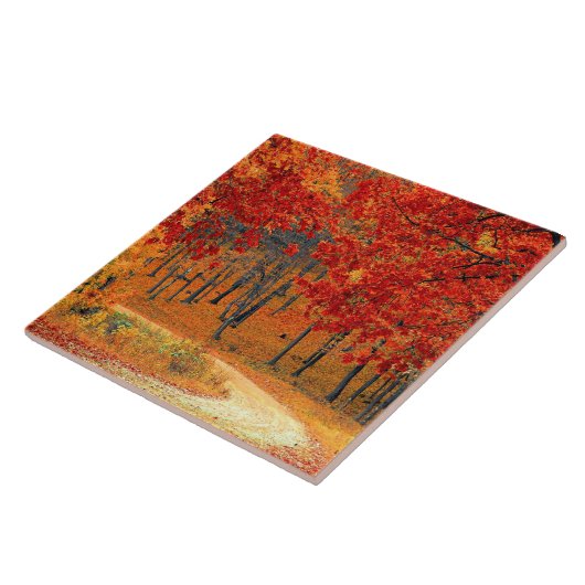 Waldweg, Herbst Fliese (Seite)